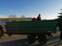 Christbaumaktion 2023